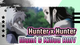 [Hunter x Hunter / Illumi & Killua] Menghitung Domba