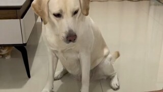 من قال لك لا تحسب؟