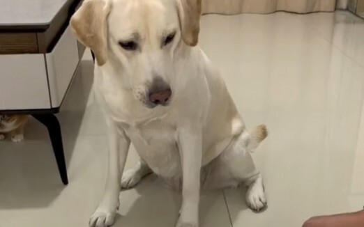 谁让你不会数数啊