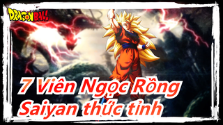 [7 Viên Ngọc Rồng/AMV/Hoành Tráng] Vượt qua giới hạn, Saiyan thức tỉnh