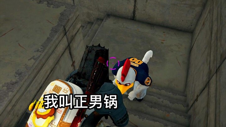 I’m Not Called Steamed Pumpkin!