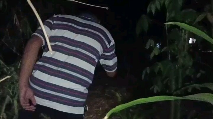 Menemukan Sesuatu di Tempat Gelap!...