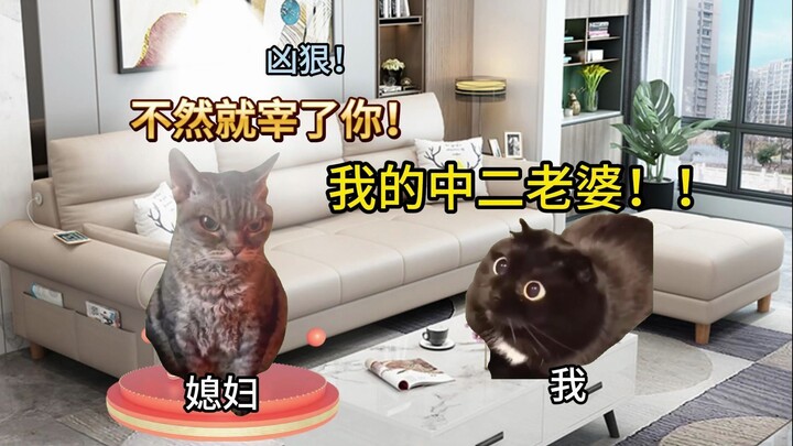 【Cat Meme】My Overly Dramatic Wife!