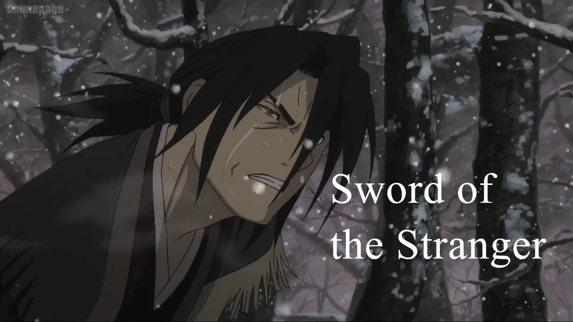 Stranger: Mukou Hadan (Sword of the Stranger) 