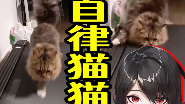 [Japanese Dub] The Self-Disciplined Cat