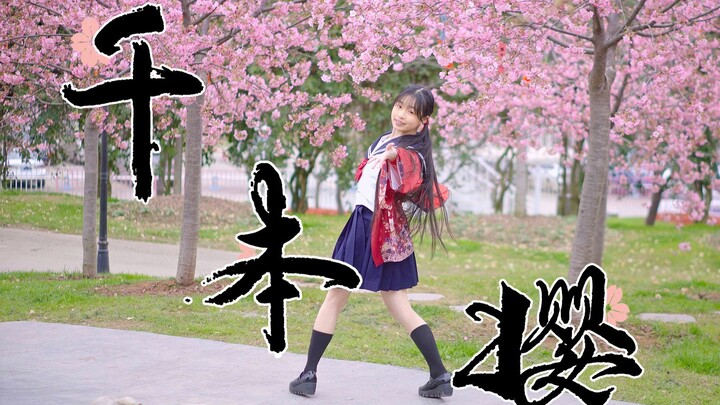 【橘翼】千本樱