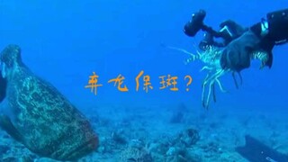 ما زلت تريد أن تسرق جراد البحر الكبير الخاص بي