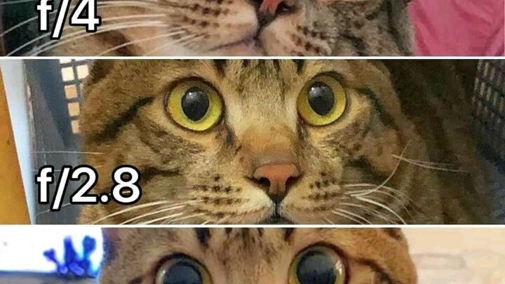 Aperture size (vivid and illustrative)
