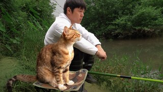 Cat: Is it useful to come so early?