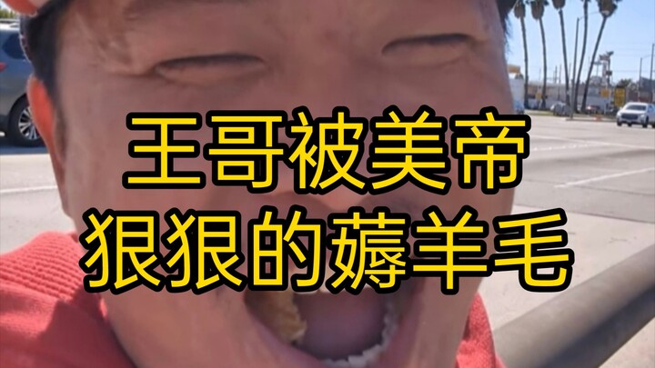 甜甜圈真好吃王伟恒（九十五）王哥29美元买的打印机，墨盒却卖27美元啧啧啧，不愧是美帝，羊毛往死里薅。