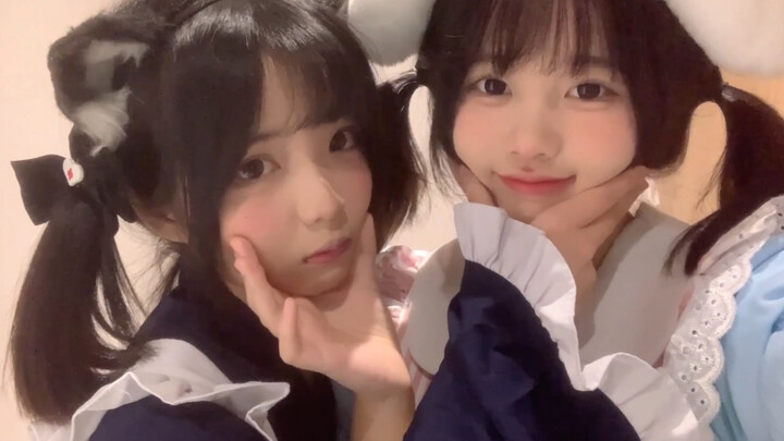 Tower Song | Double the Cuteness with Face‑Customization | One Round a Day, and Your Worries Will Be