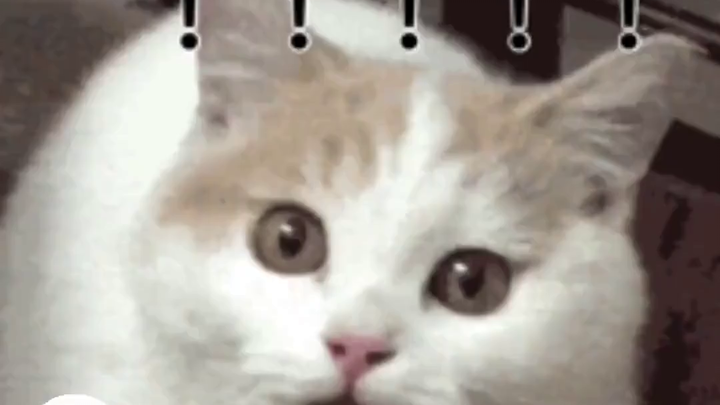 شخصية الكرتون تدخل إلى الواقع! لاعب كرة السلة العملاق روبرت يثير تأثير الوادي الغامض