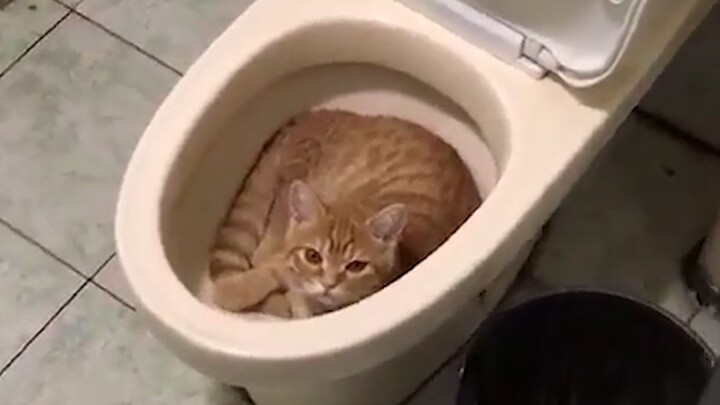 The immersion is so strong that I’ve already started punching my cat.