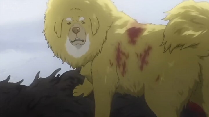I even cried over this dog’s death when I was little!