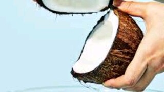 im a coconut