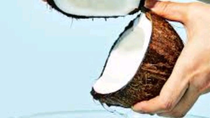 im a coconut