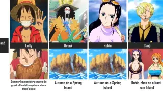 Facts You Propably Didn't Know About Straw Hat Pirates 2\2