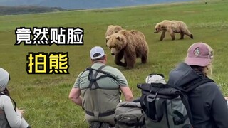 Video binatang yang menakjubkan!