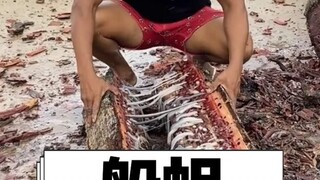 เส้นก๋วยเตี๋ยวสามารถปลูกในไม้ได้ไหม?