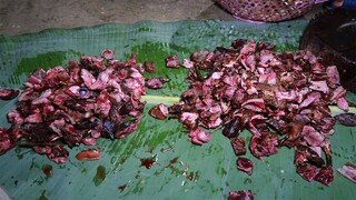 ĐẶC SẢN SIÊU SẠCH KHỔNG LỒ MỜI CẢ HỌ • Món Ăn Có Tiền Cũng Khó Kiếm Được | Nhịp Sống Thường Ngày