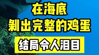 在海里剥出一颗完整的鸡蛋！