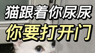 如果猫没跟你上厕所，他可能没把你当回事