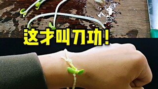 砧板上真功夫，三毛挑战豆芽菜切蓑衣花刀！
