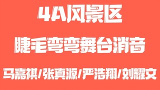 【台风蜕变之战】【马嘉祺/张真源/严浩翔/刘耀文】睫毛弯弯舞台消音