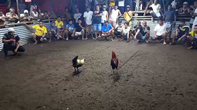 3rd fight champion 🏆 sa tupada lang sakalam