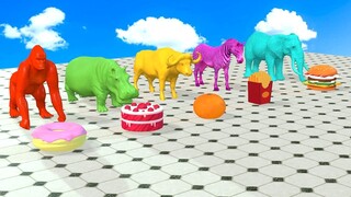 Choose The Right Drink Game With Elephant Gorilla Cow Zebra Hippopotamus    Wild Animal Game 2