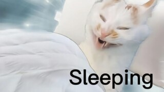 Regarding my classmate saying my voice sounds just like zjh's, and now it's super annoying