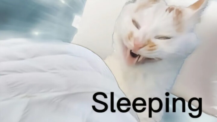 Regarding my classmate saying my voice sounds just like zjh's, and now it's super annoying