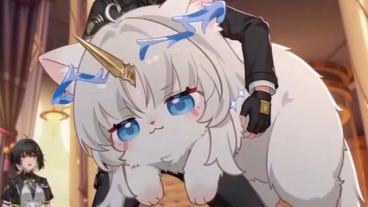 Let’s have a thoroughly satisfying hug with Big Card Cat.