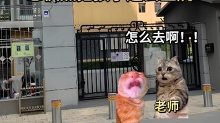 为人师表