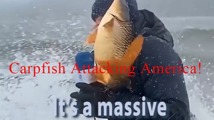 Asian Carp, The Wasted High Quality Protein