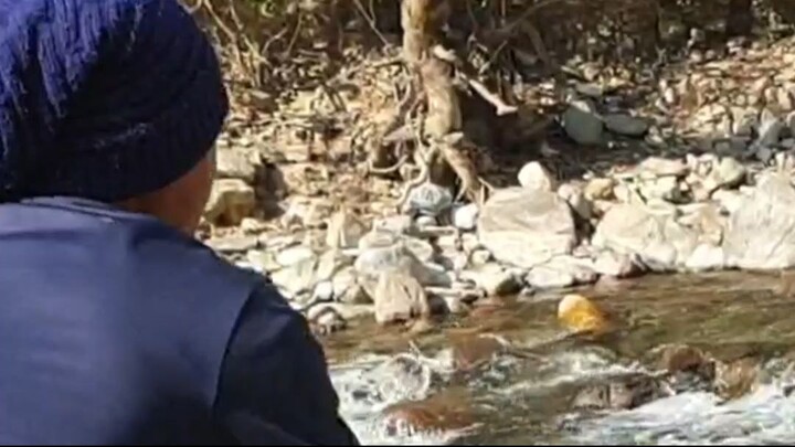 himalayan trout fishing in Nepal \