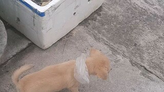 🌬️