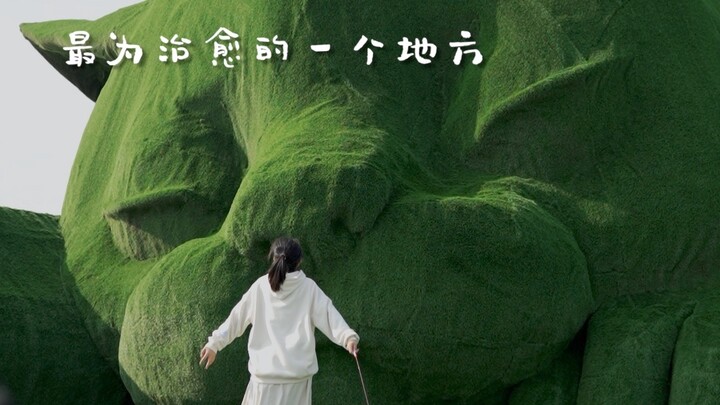 去过的最为治愈的一个地方 江苏淮安肥猫岛