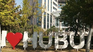 Coincidence: Hubei University Version of Qiqi and Chuchu