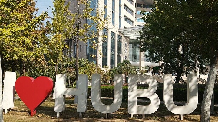 صدفة نسخة جامعة هوبي من تشي تشي وتشو تشو