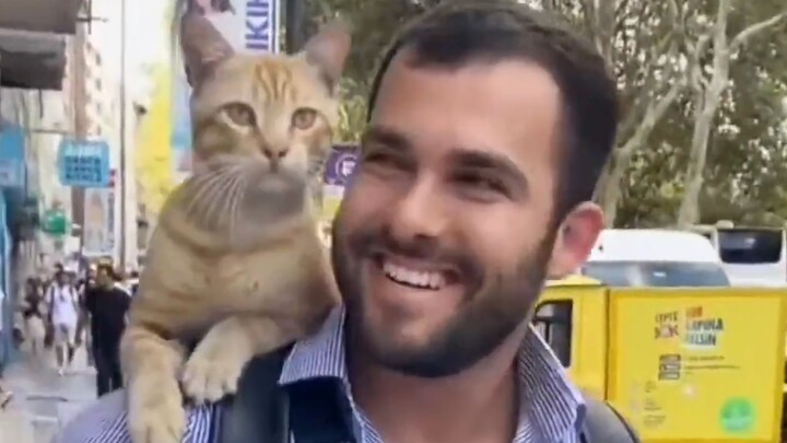 You can’t hide how much you love a kitten’s eyes!