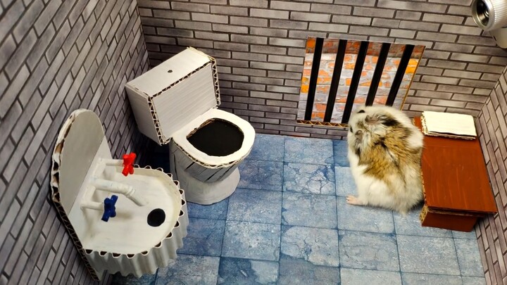 Hamster escapes the awesome maze for Pets in real life  in Hamster stories Part