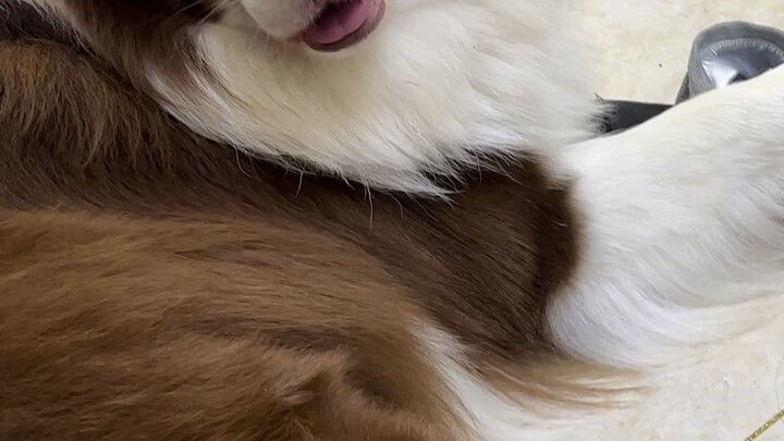 I just wanted to have some martial arts chat, but who would’ve thought…