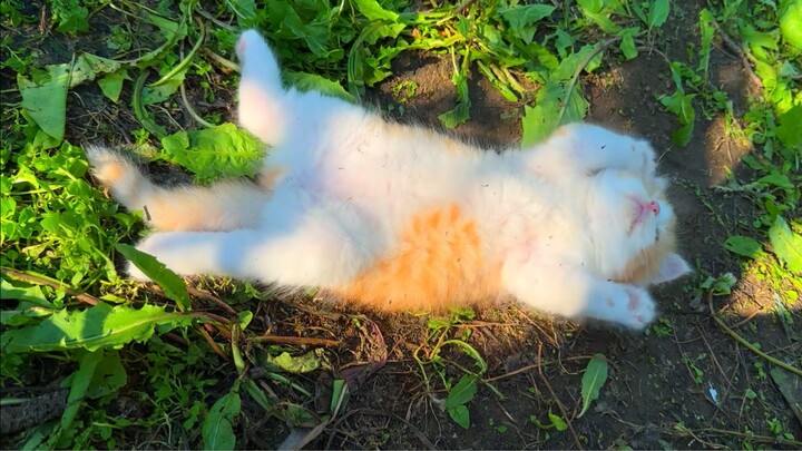 Hilarious! If this hadn’t been recorded, I’d regret it for the rest of my life! So relaxing!