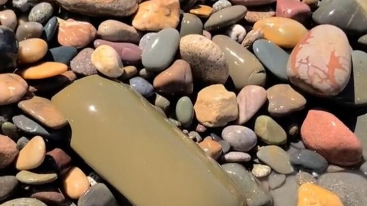 Nhặt được 14 loại đá, có loại nào bạn từng thấy chưa? #Đá #ĐáKỳLạ #NhặtĐá