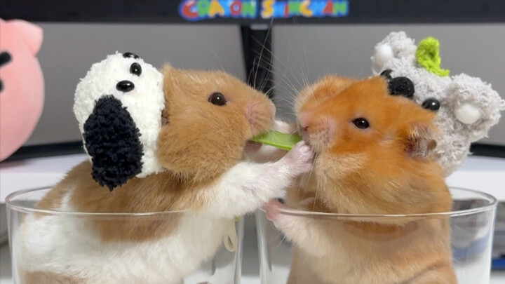 ซัวเหนี่ยว ซัวเหนี่ยว ชุดว่ายน้ำผ้าอ้อม