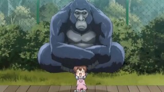 这才是猛男该看的动漫