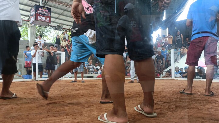 2x winner Quirino Gallera (DACS GAMEFARM)