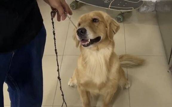 Cuối cùng cũng tìm được môn học mình thích rồi!