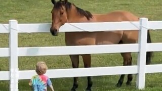 نادى الصبي الصغير أصدقاءه من الخيول إلى جانبه، وكأنه يستطيع التحدث بلغة الخيول دون أي تعليمات.